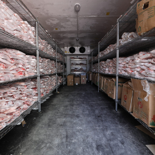 Qurbani Lessons of Hope and Faith